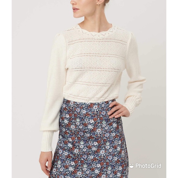 NWT LOFT Dot Stripe Pointelle Sweater Sz S $79.50! - Picture 2 of 4